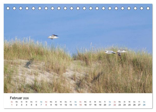 Produktbild: Seeland - Impressionen aus dem S&uuml;dwesten der Niederlande (Tischkalender 2026 DIN A5 quer), CALVENDO Monatskalender