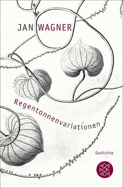 Produktbild: Regentonnenvariationen