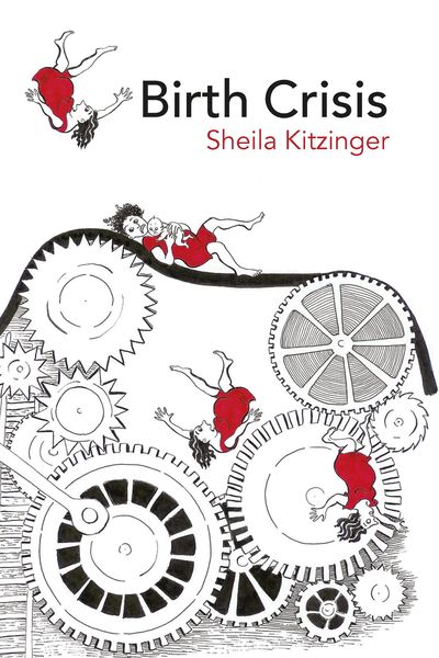 Produktbild: Birth Crisis