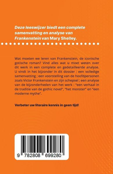 Produktbild: Frankenstein van Mary Shelley (Boekanalyse)
