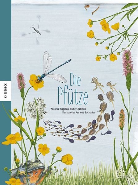 Die Pfütze, Gebundene Ausgabe von Angelika Huber-Janisch, Knesebeck, 9783957285300