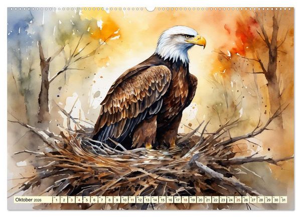 Produktbild: Wei&szlig;kopfseeadler - Majest&auml;tische V&ouml;gel (Wandkalender 2026 DIN A2 quer), CALVENDO Monatskalender