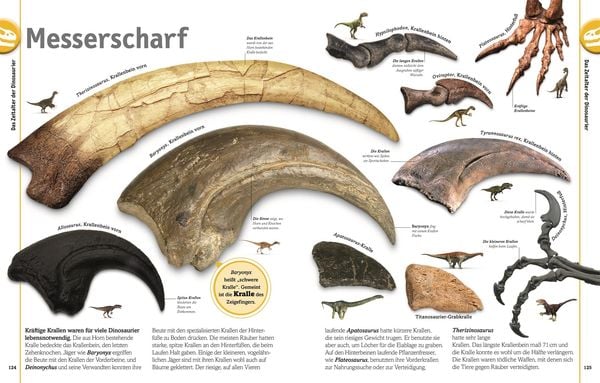 Produktbild: Unsere Welt in 1000 Bildern. Dinosaurier