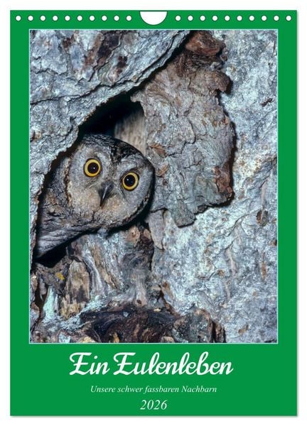 Produktbild: Ein Eulenleben, Unsere schwer fassbaren Nachbarn (Wandkalender 2026 DIN A4 hoch), CALVENDO Monatskalender