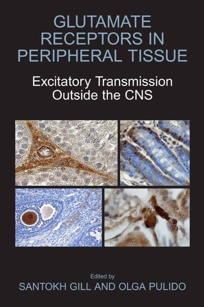 Produktbild: Glutamate Receptors in Peripheral Tissue