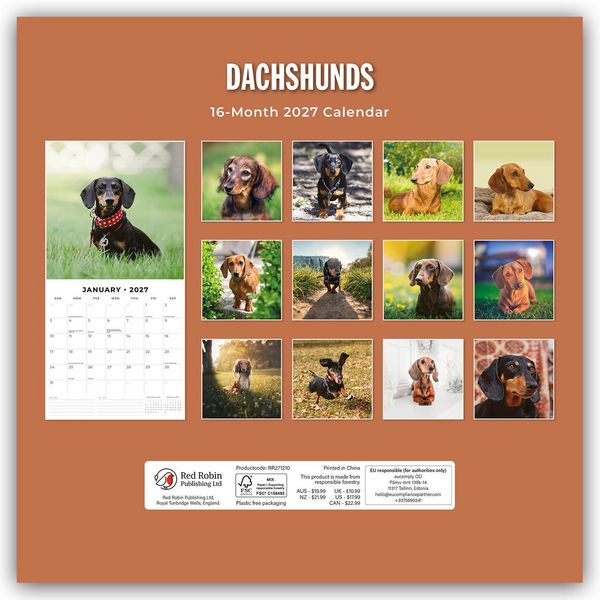 Produktbild: Dachshunds &ndash; Dackel &ndash; Dachshunde 2027 &ndash; 16-Monatskalender
