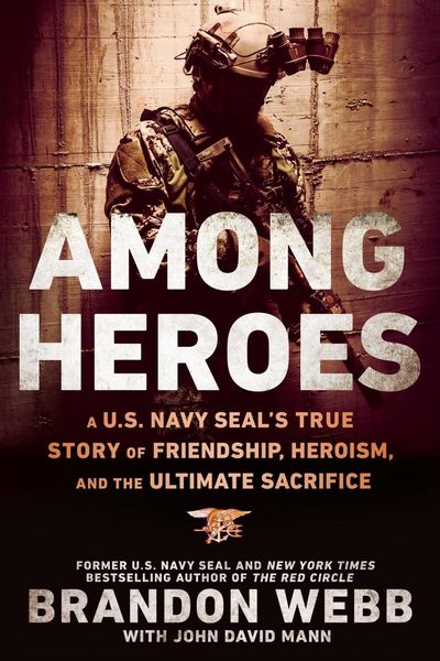 Produktbild: Among Heroes