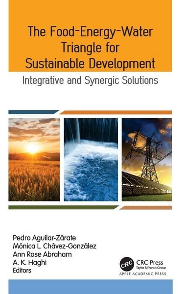 Produktbild: The Food-Energy-Water Triangle for Sustainable Development