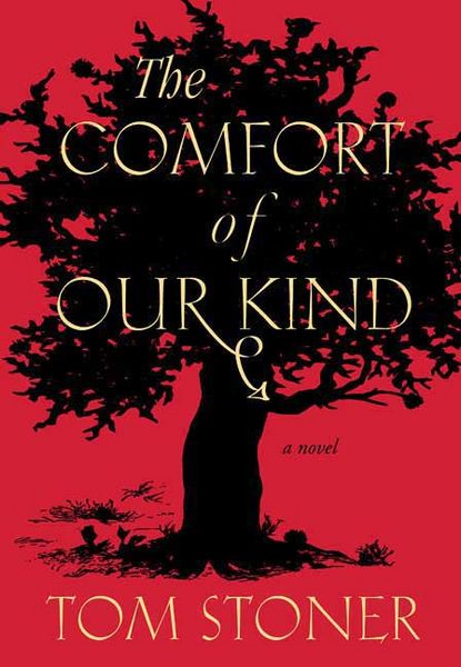 Produktbild: The Comfort of Our Kind