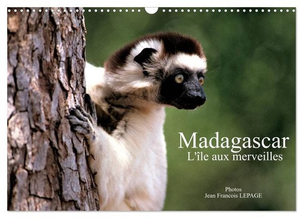 Produktbild: Madagascar L'&icirc;le aux merveilles (Calendrier mural 2026 DIN A3 vertical), CALVENDO calendrier mensuel