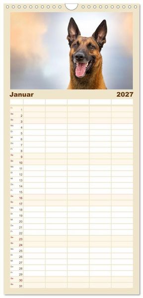 Produktbild: Familienplaner 2027 - Mit dem Malinois durch das Jahr mit 5 Spalten (Wandkalender, 21 x 45 cm) CALVENDO