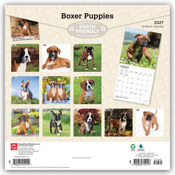 Produktbild: Boxer Puppies &ndash; Boxer Welpen 2027 &ndash; 16-Monatskalender