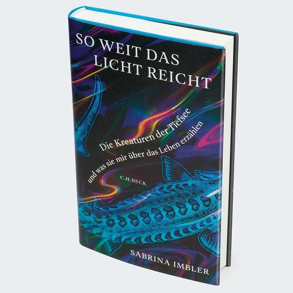 Produktbild: So weit das Licht reicht
