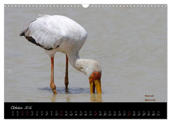 Produktbild: Faszination Afrika - wilde Tiere der Masai Mara - Kenia (Wandkalender 2026 DIN A3 quer), CALVENDO Monatskalender