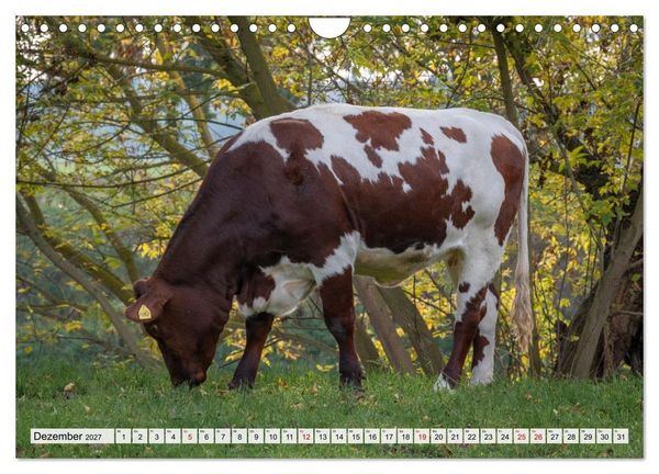 Produktbild: Heimatmomente - L&auml;ndliche Impressionen (Wandkalender 2027 DIN A4 quer), CALVENDO Monatskalender