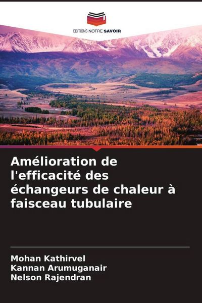 Produktbild: Am&eacute;lioration de l'efficacit&eacute; des &eacute;changeurs de chaleur &agrave; faisceau tubulaire