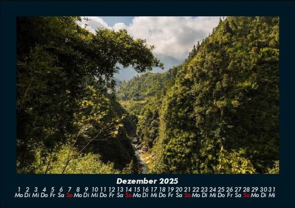 Produktbild: B&auml;ume 2025 Fotokalender DIN A5
