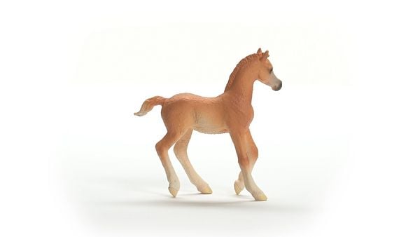 Produktbild: schleich&reg; Horse Club Araber Fohlen 8cm