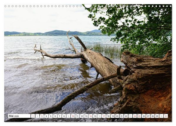 Produktbild: Naturlandschaft Laacher See (Wandkalender 2026 DIN A3 quer), CALVENDO Monatskalender