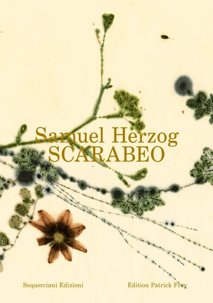 Produktbild: Scarabeo (EN)