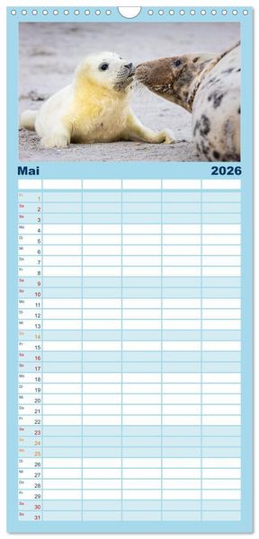 Produktbild: Familienplaner 2026 - Junge Kegelrobben mit 5 Spalten (Wandkalender, 21 x 45 cm) CALVENDO