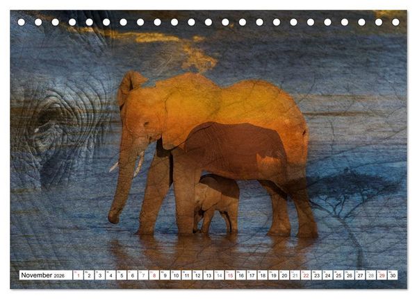 Produktbild: Emotionale Momente: African Dreams (Tischkalender 2026 DIN A5 quer), CALVENDO Monatskalender
