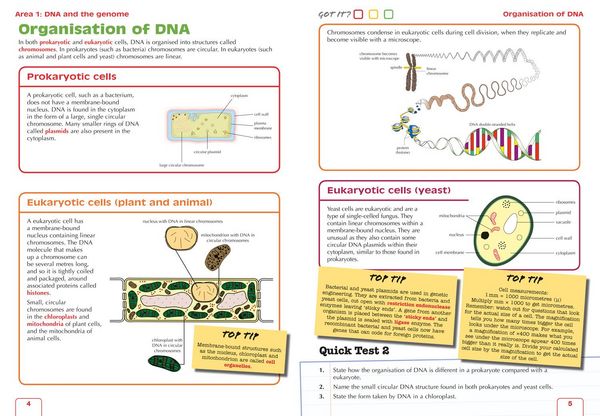 Produktbild: Higher Biology