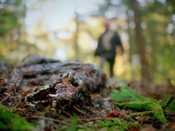 Produktbild: In a Violent Nature