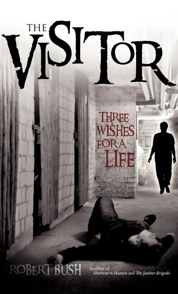 Produktbild: The Visitor