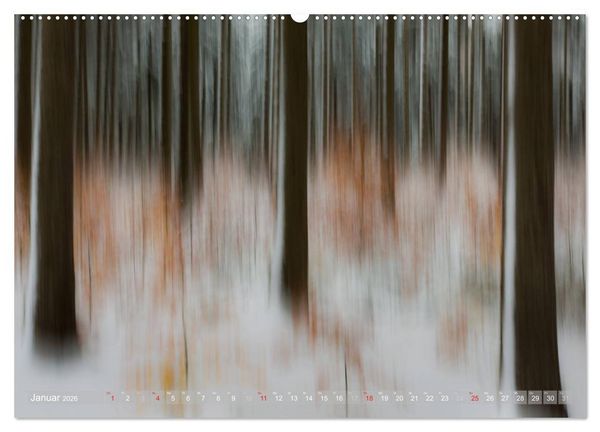 Produktbild: Atelier Wald - gemalt mit Licht (hochwertiger Premium Wandkalender 2026 DIN A2 quer), Kunstdruck in Hochglanz