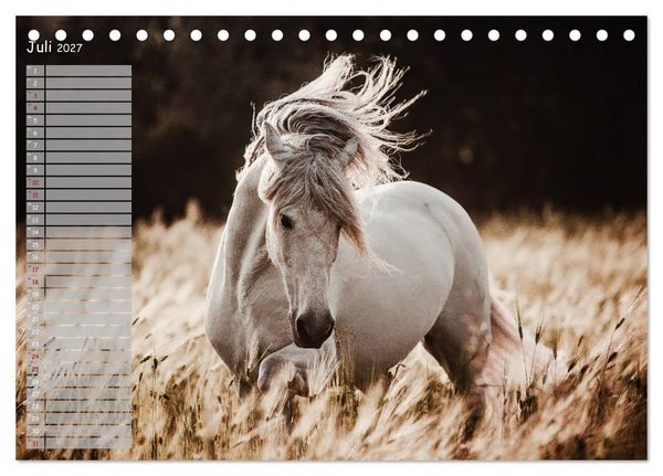 Produktbild: Pferde - Spiegel deiner Seele (Tischkalender 2027 DIN A5 quer), CALVENDO Monatskalender