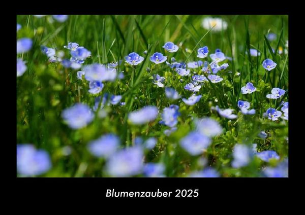 Blumenzauber 2025 Fotokalender DIN A3
