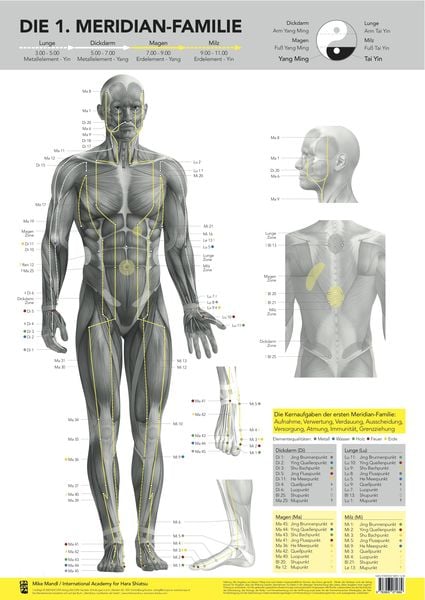 Die 1. Meridian-Familie von Mike Mandl., Poster von Mike Mandl, Bacopa, 978-3-903071-88-9