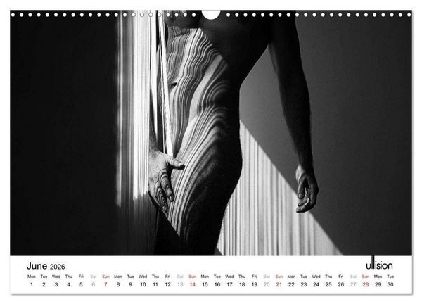 Produktbild: Male Nude Art (Wall Calendar 2026 DIN A3 landscape), CALVENDO 12 Month Wall Calendar