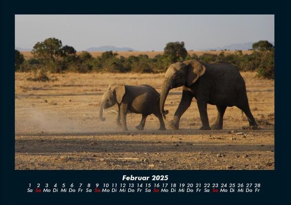 Produktbild: Der Elefantenkalender 2025 Fotokalender DIN A4