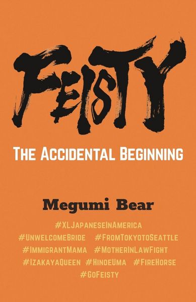 Produktbild: FEISTY - The Accidental Beginning