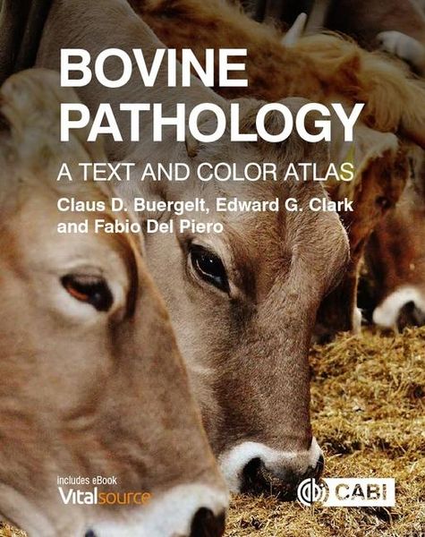 Produktbild: Bovine Pathology