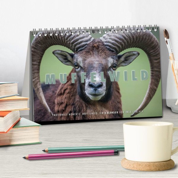 Produktbild: Emotionale Momente: Muffelwild. (Tischkalender 2026 DIN A5 quer), CALVENDO Monatskalender