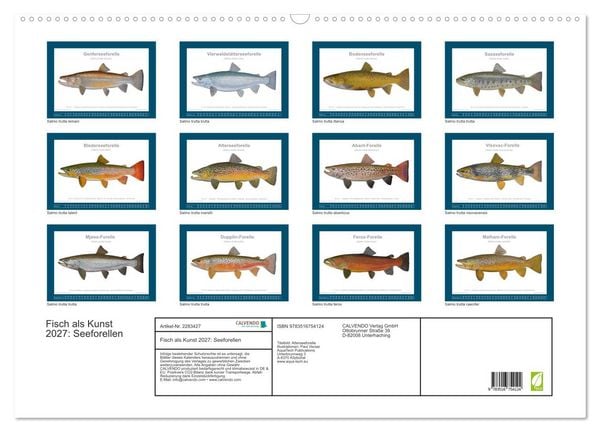 Produktbild: Fisch als Kunst 2027: Seeforellen (Wandkalender 2027 DIN A2 quer), CALVENDO Monatskalender