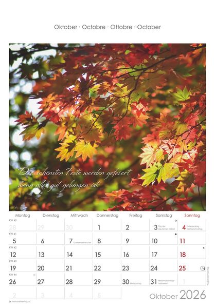 Auszeit für die Seele 2026 - Bildkalender 23,7x34 cm - Kalender mit Platz für Notizen - mit vielen Zusatzinformationen - Wandkalender - Alpha Edition