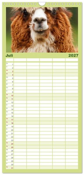 Produktbild: Familienplaner 2027 - Alpakas und Lamas mit 5 Spalten (Wandkalender, 21 x 45 cm) CALVENDO