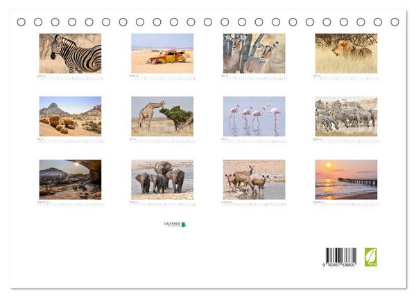 Produktbild: Namibia - unterwegs mit Julia Hahn (Tischkalender 2026 DIN A5 quer), CALVENDO Monatskalender