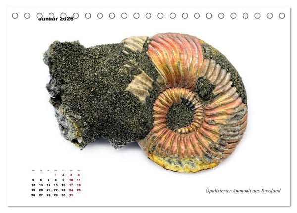 Produktbild: Fossilien - Ammoniten, Trilobiten, Erdgeschichte (Tischkalender 2026 DIN A5 quer), CALVENDO Monatskalender