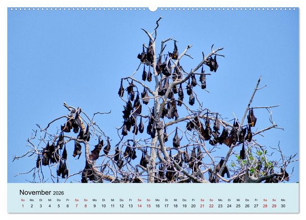 Produktbild: Indonesien - Die kleinen Sundainseln (hochwertiger Premium Wandkalender 2026 DIN A2 quer), Kunstdruck in Hochglanz