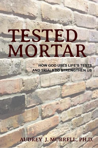 Produktbild: Tested Mortar