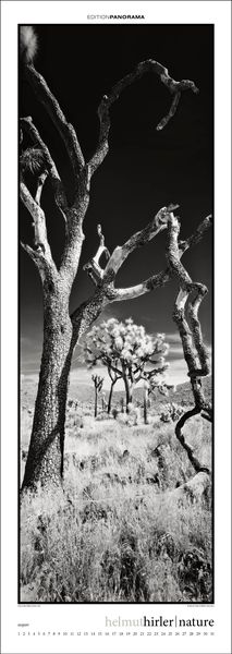 Produktbild: Nature