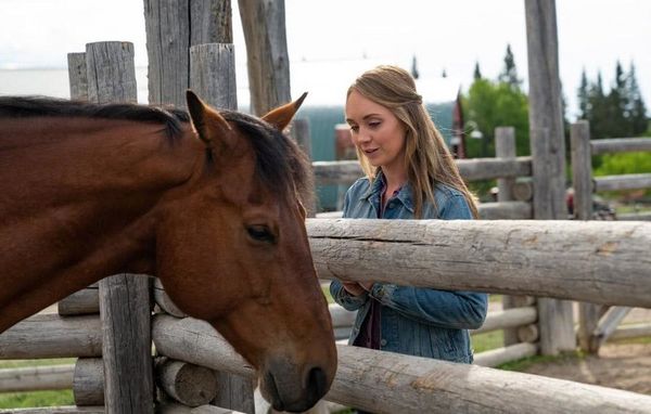 Produktbild: Heartland - Paradies f&uuml;r Pferde - Staffel 12 (Neuauflage) [4 DVDs]