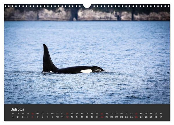 Produktbild: Alaska 2026 - faszinierend anders (Wandkalender 2026 DIN A3 quer), CALVENDO Monatskalender