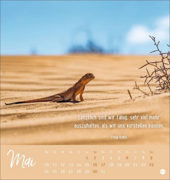 Produktbild: Never give up! Postkartenkalender 2027 - Durchhalten. Denn alles wird gut.