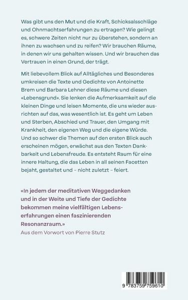 Produktbild: Lebensgrund - Was im Br&uuml;chigen tr&auml;gt